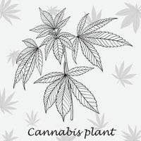 simplicidade planta de cannabis desenho à mão livre design plano. vetor