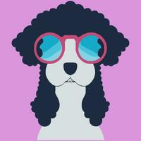 gráfico de ilustração vetorial de cachorro poodle fofo usando óculos escuros isolado bom para ícone, mascote, impressão, elemento de design ou personalizar seu design vetor