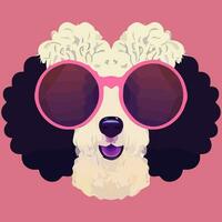 gráfico de ilustração vetorial de cachorro poodle usando óculos escuros isolado bom para ícone, mascote, impressão, elemento de design ou personalizar seu design vetor