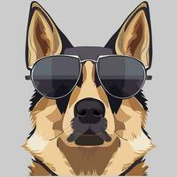 gráfico de ilustração vetorial de cão pastor alemão usando óculos escuros isolados bom para ícone, mascote, impressão, elemento de design ou personalizar seu design vetor