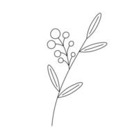 galho desenhado à mão com bagas em estilo doodle de arte de linha. elemento decorativo botânico. vetor