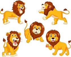a coleção dos leões com diferentes poses vetor