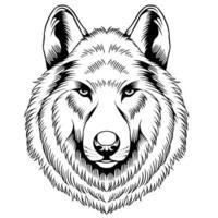 ilustração de cabeça de lobo em preto e branco vetor