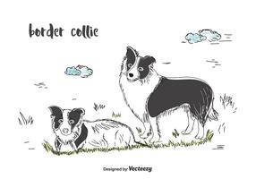 Vetor border collie