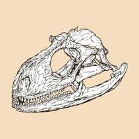 ilustração vetorial de cabeça de caveira de iguana vetor