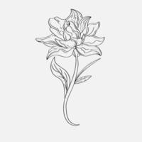 desenhos para colorir de lindas flores de lírio para imprimir. lírios de contorno. página em preto e branco para livro de colorir. coloração anti-stress. flores de arte de linha vetor