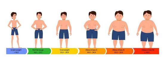 categorias com índice de massa corporal. silhuetas masculinas com uma figura grossa, normal e esbelta. vetor