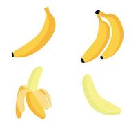 um conjunto de bananas diferentes vetor