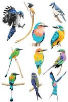conjunto colorido de pássaros realistas vetor