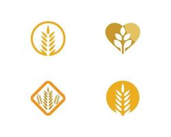 conjunto de ícones de trigo vetor
