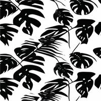 folhas exóticas sem costura padrão em preto e branco. fundo decorativo elegante vetor abstrato. folhas de palmeira tropical, padrão floral de vetor sem costura de folha de selva. papel de parede estilo tropical grunge.