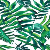 ilustração vetorial de selva com padrão de folhas tropicais. estampa de verão na moda. padrão sem emenda exótico. folhas tropicais turquesas e verdes. papel de parede exótico da selva. vetor