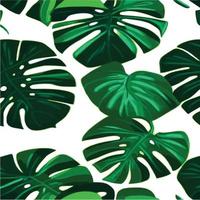 fundo branco padrão monstera verde. padrão exótico com folhas tropicais. ilustração vetorial. padrão de folha de monstera. folhas de palmeiras tropicais. tecido de design exótico, estampa têxtil, papel de embrulho vetor