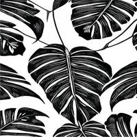 folhas exóticas sem costura padrão em preto e branco. fundo decorativo elegante vetor abstrato. folhas de palmeira tropical, padrão floral de vetor sem costura de folha de selva. papel de parede estilo tropical grunge.