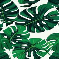 fundo branco padrão monstera verde. padrão exótico com folhas tropicais. ilustração vetorial. padrão de folha de monstera. folhas de palmeiras tropicais. tecido de design exótico, estampa têxtil, papel de embrulho vetor