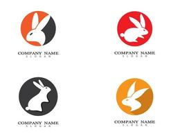 conjunto de design de logotipo de coelho vetor