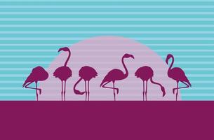 silhuetas de pássaros flamingos bando na paisagem vetor