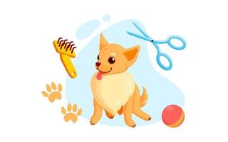 aliciamento de cães com tesoura de corte de cabelo e pentes. filhote de chihuahua brincalhão no serviço de aliciamento. ilustração vetorial vetor