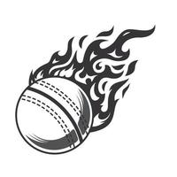 silhueta de logotipo de fogo de bola de críquete quente. logotipos ou ícones de design gráfico de clube de críquete. ilustração vetorial. vetor