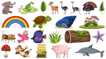 conjunto de diferentes animais e objetos vegetais vetor