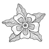 olho desenhado à mão em flor. símbolo mágico da providência. ilustração vetorial isolada no fundo branco. vetor