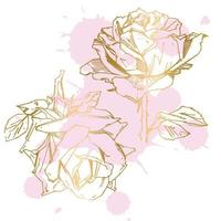 rosa desenhada à mão. ilustração vetorial. estilo de tatuagem vintage rosa. esboço de motivo de flor para design. ilustração de tinta isolada. vetor