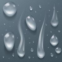 gotas de água clara, orvalho ou gotas de chuva pingando vetor