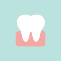 dente branco saudável. ilustração vetorial vetor