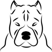 American pit bull terrier, ilustração, vetor em fundo branco.