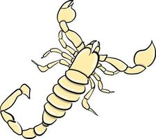escorpião amarelo, ilustração, vetor em fundo branco