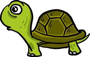 tartaruga verde velha, ilustração, vetor em fundo branco.