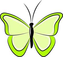 borboleta verde, ilustração, vetor em fundo branco.