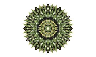 design de mandala de luxo vector background design de padrão floral abstrato vintage
