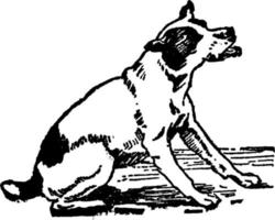 cão, ilustração vintage. vetor