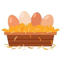 ilustração de ovos na cesta vetor