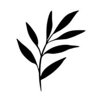ramo com folhas. ilustração desenhada à mão em estilo doodle. ramo de natal. clipart botânico para decoração, design de cartão, convite, web vetor