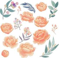 conjunto de flor de peônia aquarela, clipart de flora laranja vetor