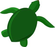tartaruga verde, ilustração, vetor em fundo branco.