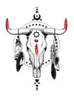 crânios de touro com penas e símbolos étnicos. vetor