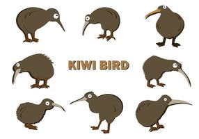 Vector de pássaro Kiwi grátis