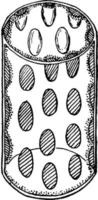 ilustração vintage de célula paliçada. vetor