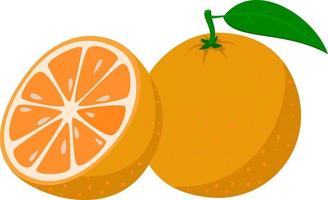 laranja fresca. frutas laranja inteiras e uma laranja cortada ao meio. estilo de desenho animado. ilustração vetorial isolada em um fundo branco vetor