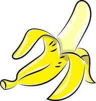 banana aberta, ilustração, vetor em fundo branco.