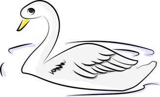cisne branco na água, ilustração, vetor em fundo branco.