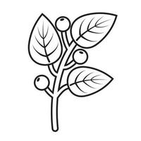 elementos de doodle de plantas de outono. elementos de contorno da planta no outono. gráficos vetoriais vetor