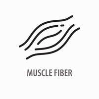 ícone de linha de fibra muscular em fundo branco. modelo de design de logotipo. vetor