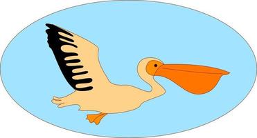pelicano voador, ilustração, vetor em fundo branco.