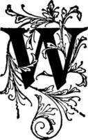 w, ilustração vintage floral inicial. vetor