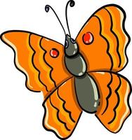 borboleta laranja, ilustração, vetor em fundo branco