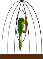 um papagaio verde em uma gaiola, vetor ou ilustração colorida.